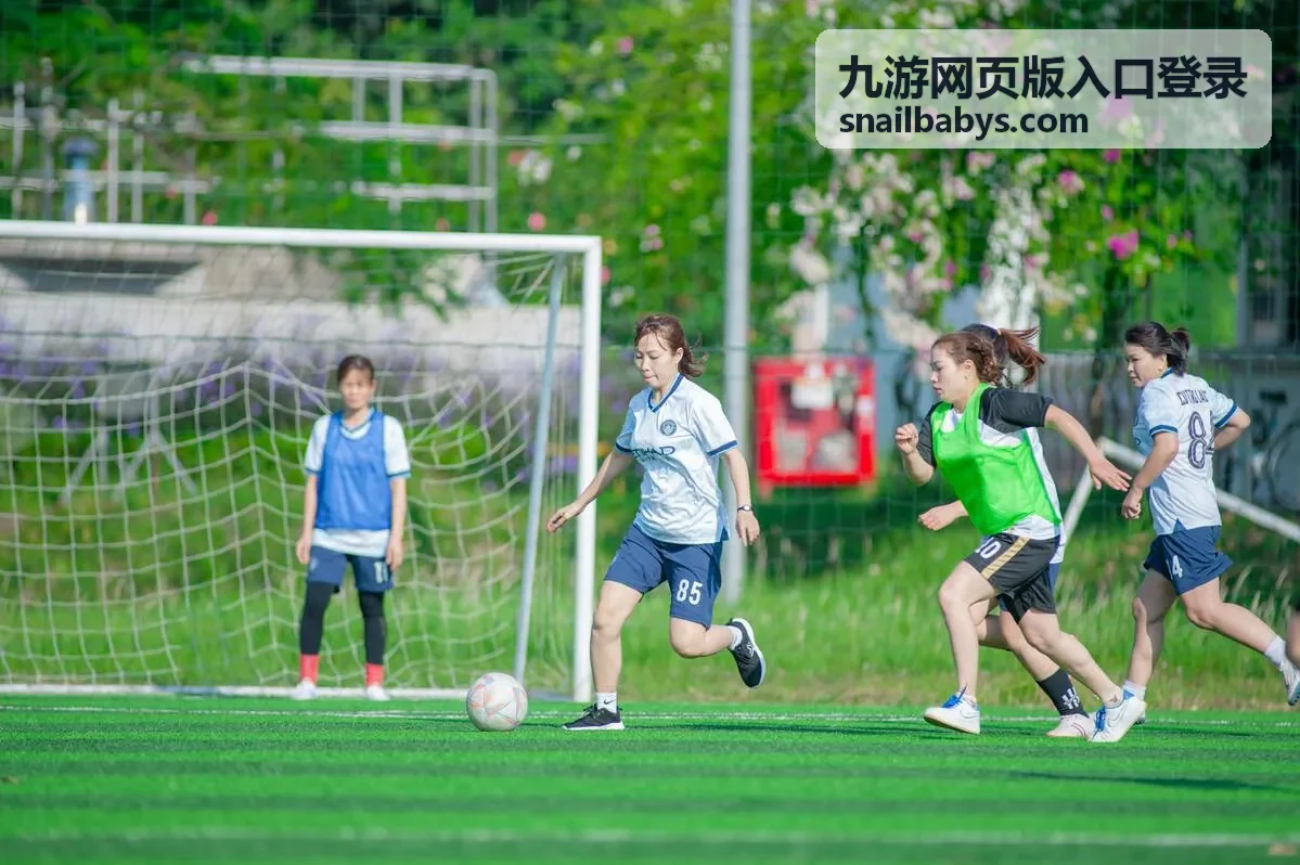 九游网页版入口登录账号与密码填写界面示意