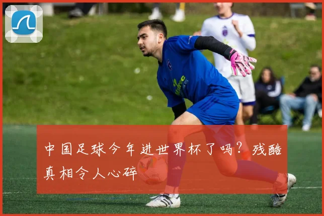 中国足球今年进世界杯了吗？残酷真相令人心碎
