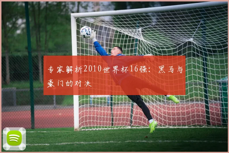 专家解析2010世界杯16强：黑马与豪门的对决