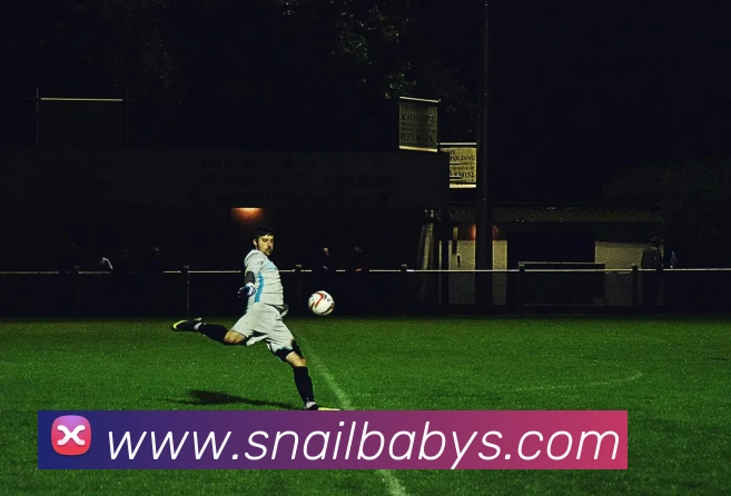 开云在线官网登录入口APP 高清赛事图